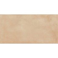 AMURI 60X60 BISCOTTO R10 SQ - RAGNO RCPQ RAGNO  - 1