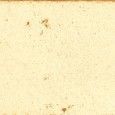 COLORS IVORY BRICK 4,8x45 - CERAMICA RONDINE J92077 CERAMICA RONDINE - 1