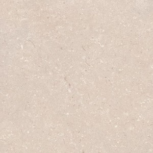 CORAL CALIZA ANTISLIP L 120X120 - PORCELANOSA 100330175 PORCELANOSA  - 1