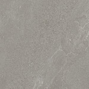 MOTLEY WOODSTOCK MT 05  BROSSÉ SQ 60X120 9MM - MIRAGE BUW9 MIRAGE - 1