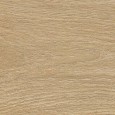 ROOTS 20X180 HONEY MATT R9 - FAP CERAMICHE fSY7 FAP CERAMICHE - 1