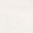 PIGMENTO PERLA SILKTECH 60X120 SQ - ERGON EMILGROUP ELNU ERGON EMILGROUP - 1