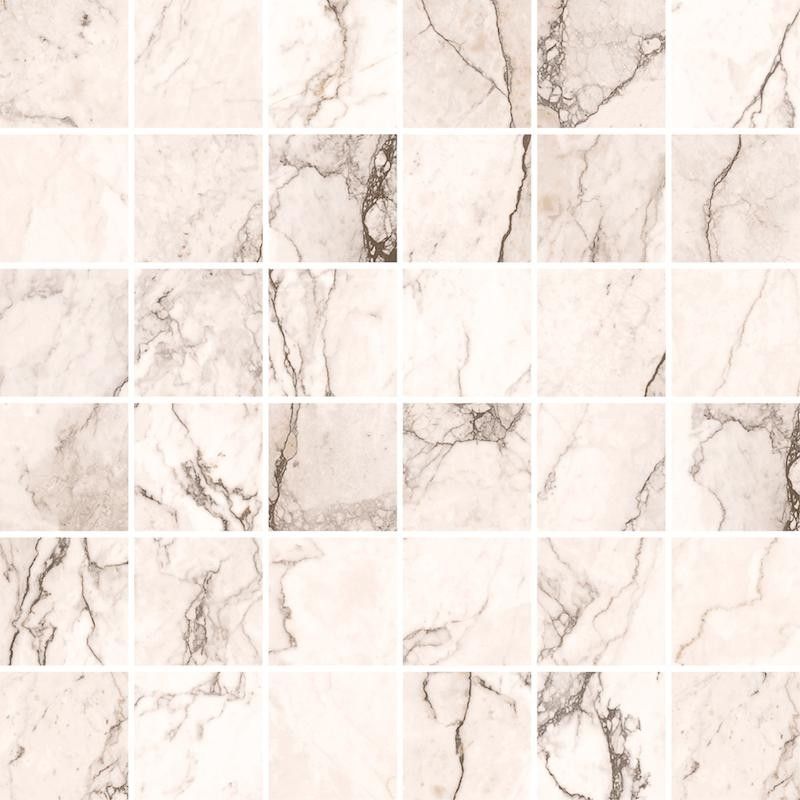 Omnia Mosaicque 4,7 Camouflage Aiguisé 30x30 - CERDOMUS 89722 CERDOMUS - 1