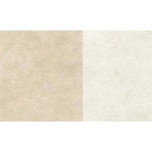 Boost Expression Duo Camel 120x278 - 6mm  - CERAMICHE ATLAS CONCORDE AYSN CERAMICHE ATLAS CONCORDE - 1