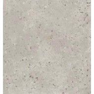 ALCHIMIA ARGENTO 20,13X20,13 SQ - FIORANESE CERAMICHE 0AL203R FIORANESE CERAMICHE - 1
