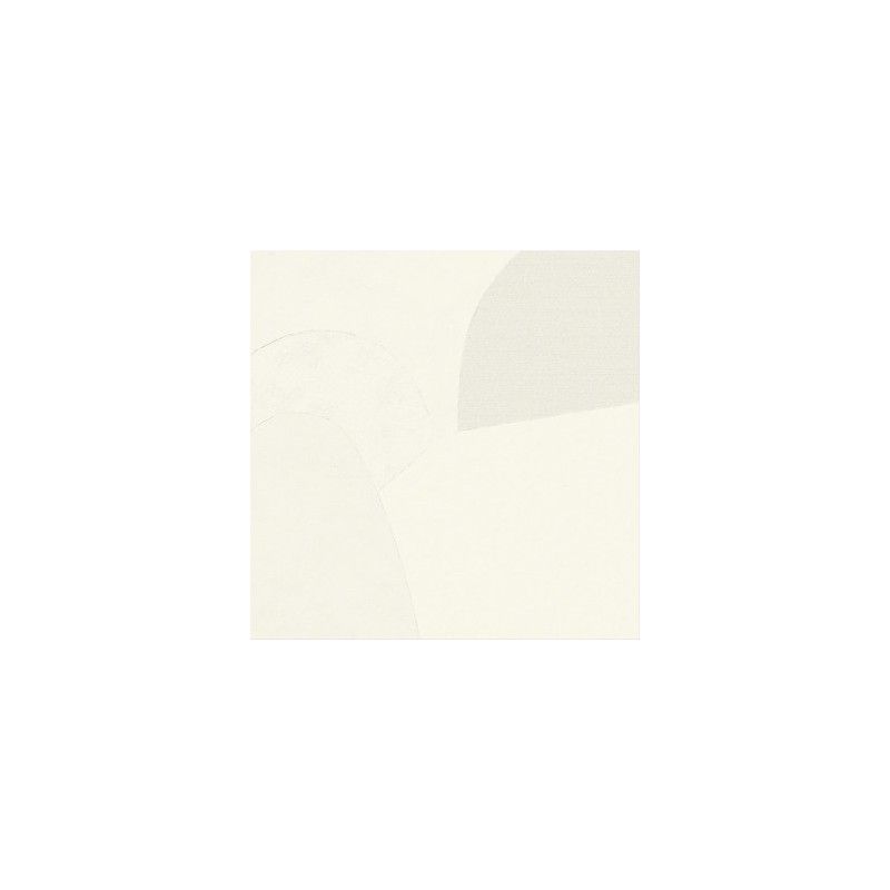 ARTWORK Bianco  120x120 cm 10,5mm Naturale - LEONARDO CERAMICA ARTW 120W RM LEONARDO CERAMICA - 1