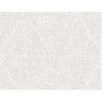 COBB 50,3X58 LIGHT ANTISLIP IDRO - SUPERGRES CLI5 CERAMICHE SUPERGRES - 1