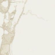 CAVE 120X278 FORTE LUCIDO BROWN RT - SAIME CERAMICHE T600130 SAIME CERAMICHE - 1