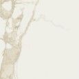 CAVE 120X278 FORTE LUCIDO FORTE RT - SAIME CERAMICHE T600131 SAIME CERAMICHE - 1
