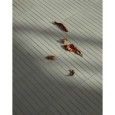 OSSO & BOTTONE OSSO S VERDE 3X27,5 - BOSO03 01 MUTINA MUTINA - 1