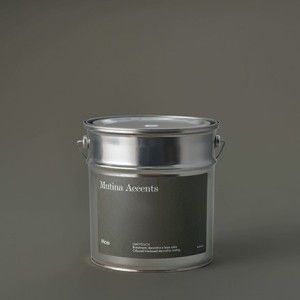 ACCENTS PAINTS PAINT MATT MOSS 4 L - MACVMMO05 01 MUTINA MUTINA - 1