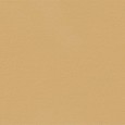 TRUE COLOR 50X120 CARAMEL MATT SQ   - FAP CERAMICHE fTDS FAP CERAMICHE - 1