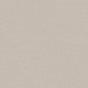 TRUE COLOR 50X120 FOSSIL MATT SQ   - FAP CERAMICHE fTDU FAP CERAMICHE - 1