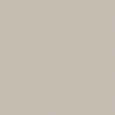 TRUE COLOR 50X120 FOSSIL MATT SQ   - FAP CERAMICHE fTDU FAP CERAMICHE - 1