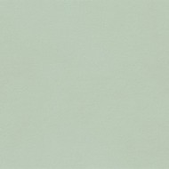 TRUE COLOR 50X120 MATCHA MATT SQ   - FAP CERAMICHE fTDV FAP CERAMICHE - 1