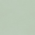 TRUE COLOR 50X120 MATCHA MATT SQ   - FAP CERAMICHE fTDV FAP CERAMICHE - 1