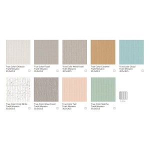 TRUE COLOR WAVE FOSSIL TRATTI MOSAIQUE 30,5X30,5 - FAP CERAMICHE fTLU FAP CERAMICHE - 1