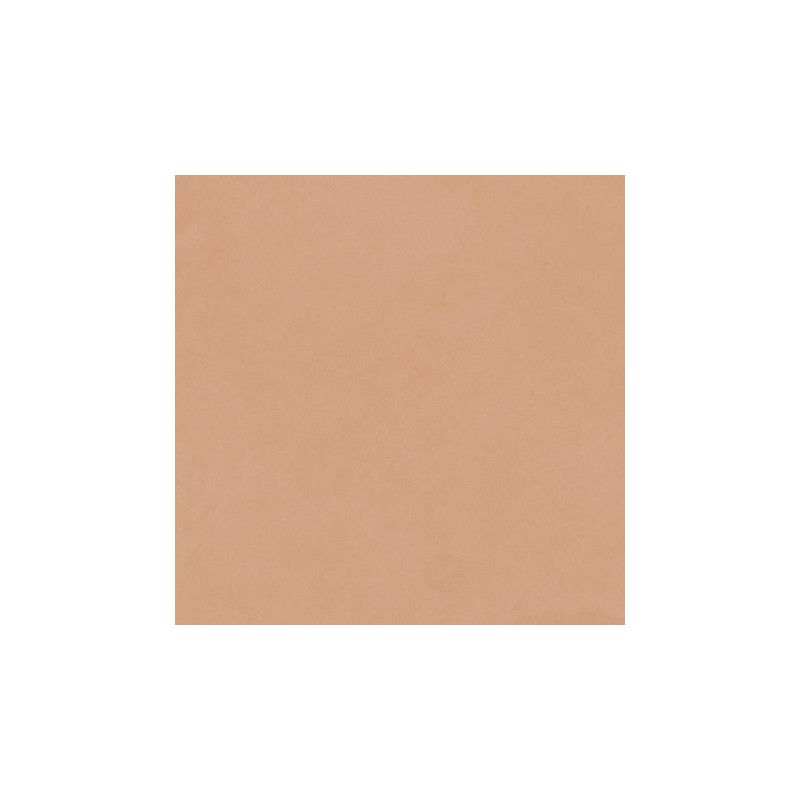 HBE Bioterre 6 60X60 RT TERRA - DEL CONCA G9BE06R DEL CONCA - 1
