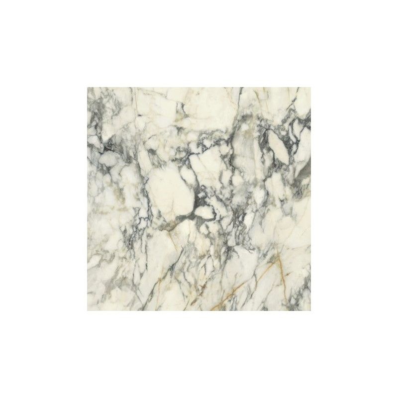 HPM Premiere 10 120X120 SHINE PAONAZZO - DEL CONCA GRPM10S DEL CONCA - 1