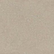 HWD Wild HWD 11 60x60 RT HARD GREIGE - DEL CONCA G9WD11R DEL CONCA - 1