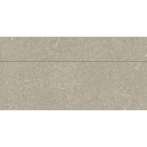 HWD Wild HWD 11 UNIVERSAL 60X120 RT HARD GREIGE - DEL CONCA GCWD11MO DEL CONCA - 1