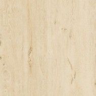 NB Nabi NB10 20X120 RT  PLUS NATURAL - DEL CONCA 21NB10R DEL CONCA - 1