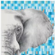 INDOMITA PP 90 MIX ID ELEPHANT  120X278 6MM  - MIRAGE CBO8 MIRAGE - 1