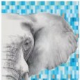 INDOMITA PP 90 MIX ID ELEPHANT  120X278 6MM  - MIRAGE CBO8 MIRAGE - 1