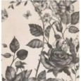 PAPIER PP 90 MIX BLOSSOM SP SQ 120X278 6MM  - MIRAGE CEE0 MIRAGE - 1