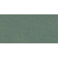 HOMEY SAGE NATURALE RT 60X120 - PIEMME CERAMICHE PMM 05222A PIEMME CERAMICHE - 1