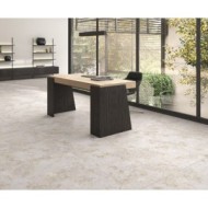 CORAL BEIGE NATUREL 59,55X59,55 - APAVISA 8431940450037 APAVISA - 1