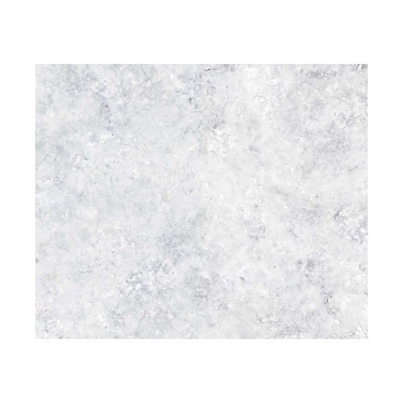 CORAL WHITE NATURAL 59,55X59,55 - APAVISA 8431940450068 APAVISA - 1