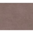 EQUINOX CORAL NATURAL 59,55X119,3 - APAVISA 8431940462399 APAVISA - 1