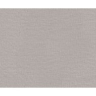 ETHNIC GREY NATURAL 49,75X99,55 - APAVISA 8431940462702 APAVISA - 1