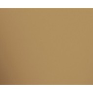 MIRROR BRONZE POLISHED 29,75X59,55 - APAVISA 8431940447402 APAVISA - 1