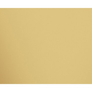 MIRROR GOLD BRILLANT 29,75X59,55 - APAVISA 8431940447419 APAVISA - 1