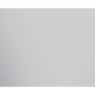 MIRROR SILVER GLAENZEND 29,75X59,55 - APAVISA 8431940447433 APAVISA - 1