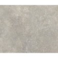 MURO MOSS NATUREL 59,55X59,55 - APAVISA 8431940449475 APAVISA - 1