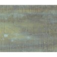 REGGIA GREEN PATINIERT 49,75X99,55 - APAVISA 8431940451089 APAVISA - 1