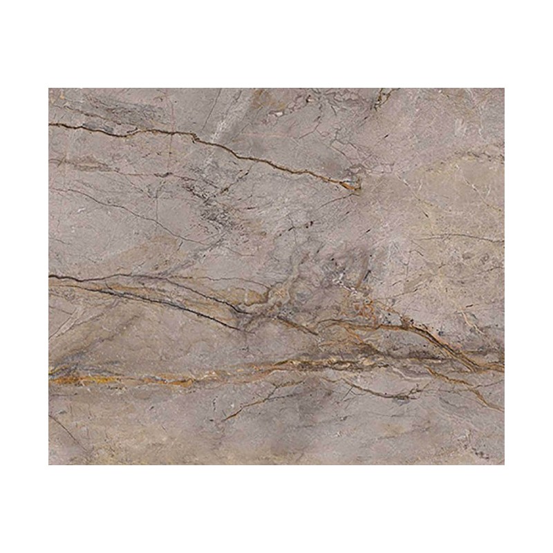 WILD FOREST GREY LUCIDATO MIX 119,3X280 - APAVISA 8431940445484 APAVISA - 1