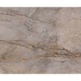 WILD FOREST GREY LUCIDATO MIX 119,3X280 - APAVISA 8431940445484 APAVISA - 1