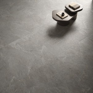 Moonstone Silver 60x60 Naturel SQ - CERDOMUS 103504 CERDOMUS - 1