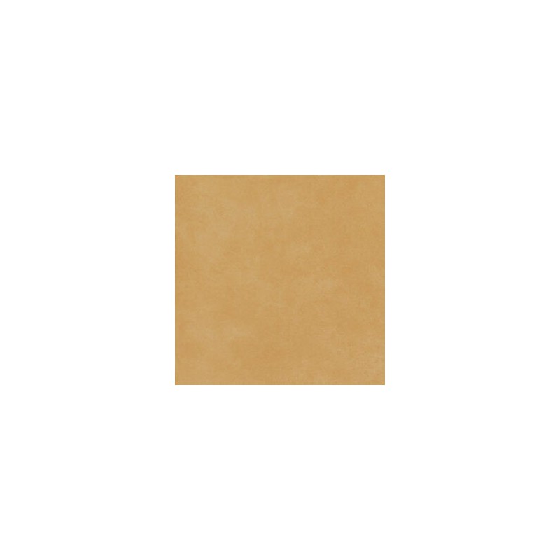 THE COLOR AMBER 60,4X120,8 SQ - FIORANESE CERAMICHE 0TH629R FIORANESE CERAMICHE - 1
