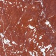 MARMOKER ROSSO FRANCIA HONED RT 120x240 6MM - CASALGRANDE PADANA 12560003 CASALGRANDE PADANA - 1