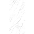 MARMOKER STATUARIO GRIGIO HONED ANTIBACTRIAL RT 60x120 9MM - CASALGRANDE PADANA 2475717 CASALGRANDE PADANA - 1