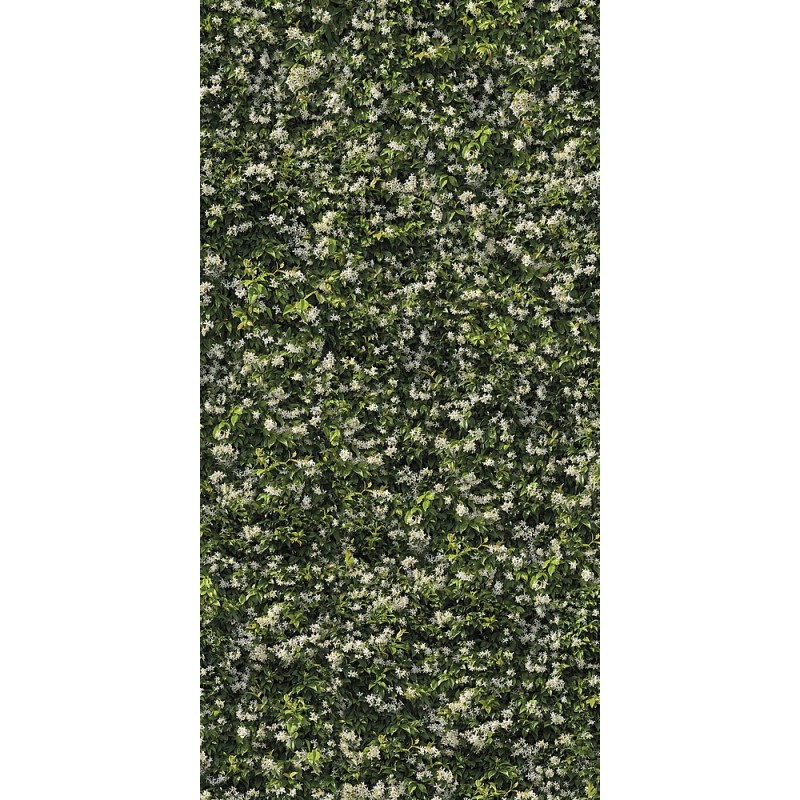 LIMPHA GELSOMINO SQ 120x278 6MM - CASALGRANDE PADANA 11570024 CASALGRANDE PADANA - 1