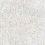 COQUILLE 60X120 PERLE HAMMERED RETTIFICATO - REFIN RA56 REFIN - 1