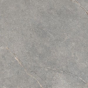 ANTHOLOGY 04 GRAY NATURAL 120X120 6MM - LEA CERAMICHE LS8L40 LEA CERAMICHE - 1