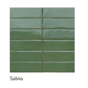 MID SALVIA GLOSSY 6X24 RDFR - RAGNO RAGNO  - 1