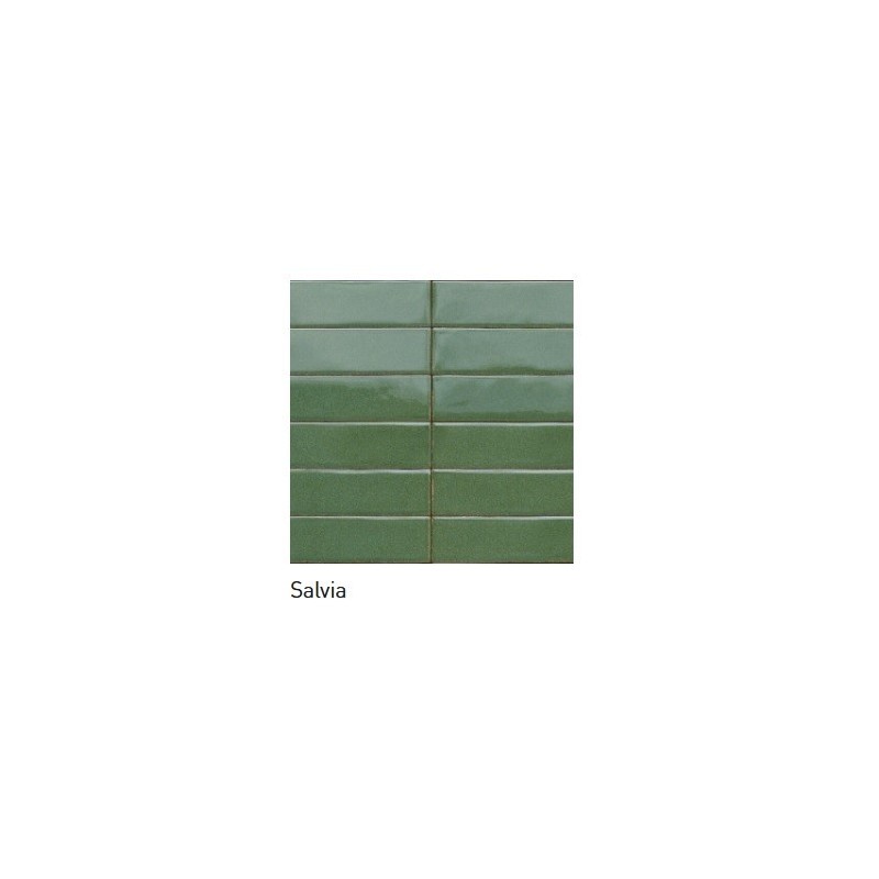 MID SALVIA GLOSSY 6X24 RDFR - RAGNO RAGNO  - 1
